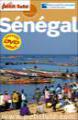 Senegal (guida+DVD) - Libri per viaggiare: Senegal